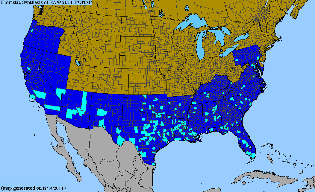 County distribution map of Vitex agnus-castus - Lilac Chastetree